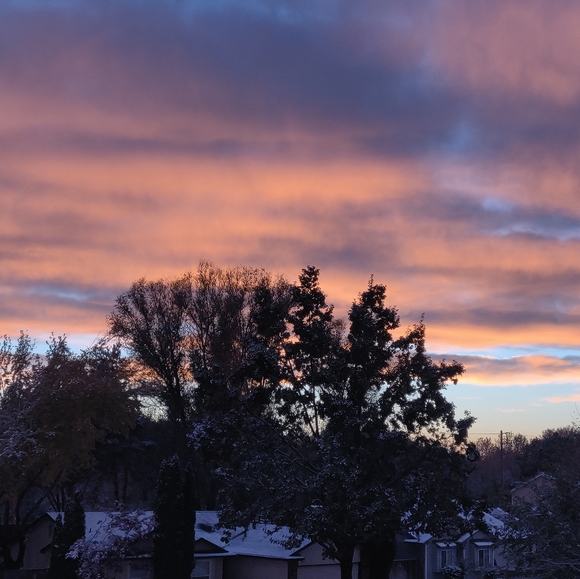 Meet your Posher, Katelyn - Picture 1 of 1